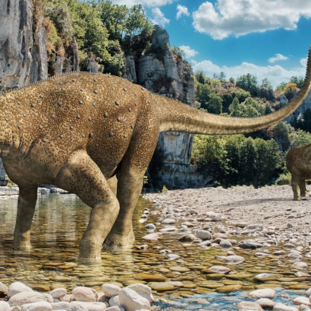 Fosil Dinosaurus di Brasil Ungkap Penyakit Tulang Mematikan 80 Juta Tahun Lalu