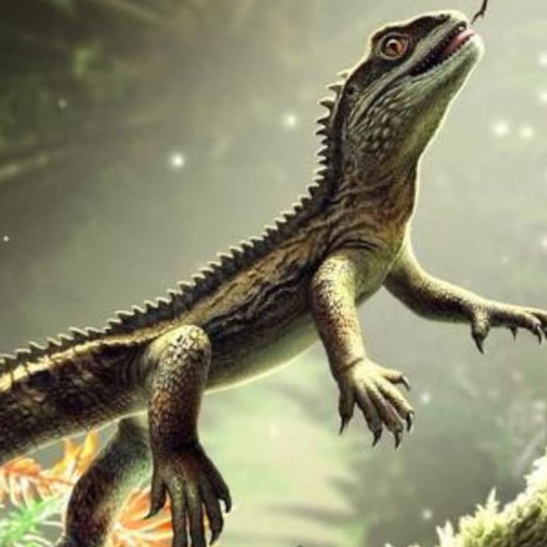 Fosil Kadalu Tertua dari Inggris Ubah Pandangan Evolusi Reptil