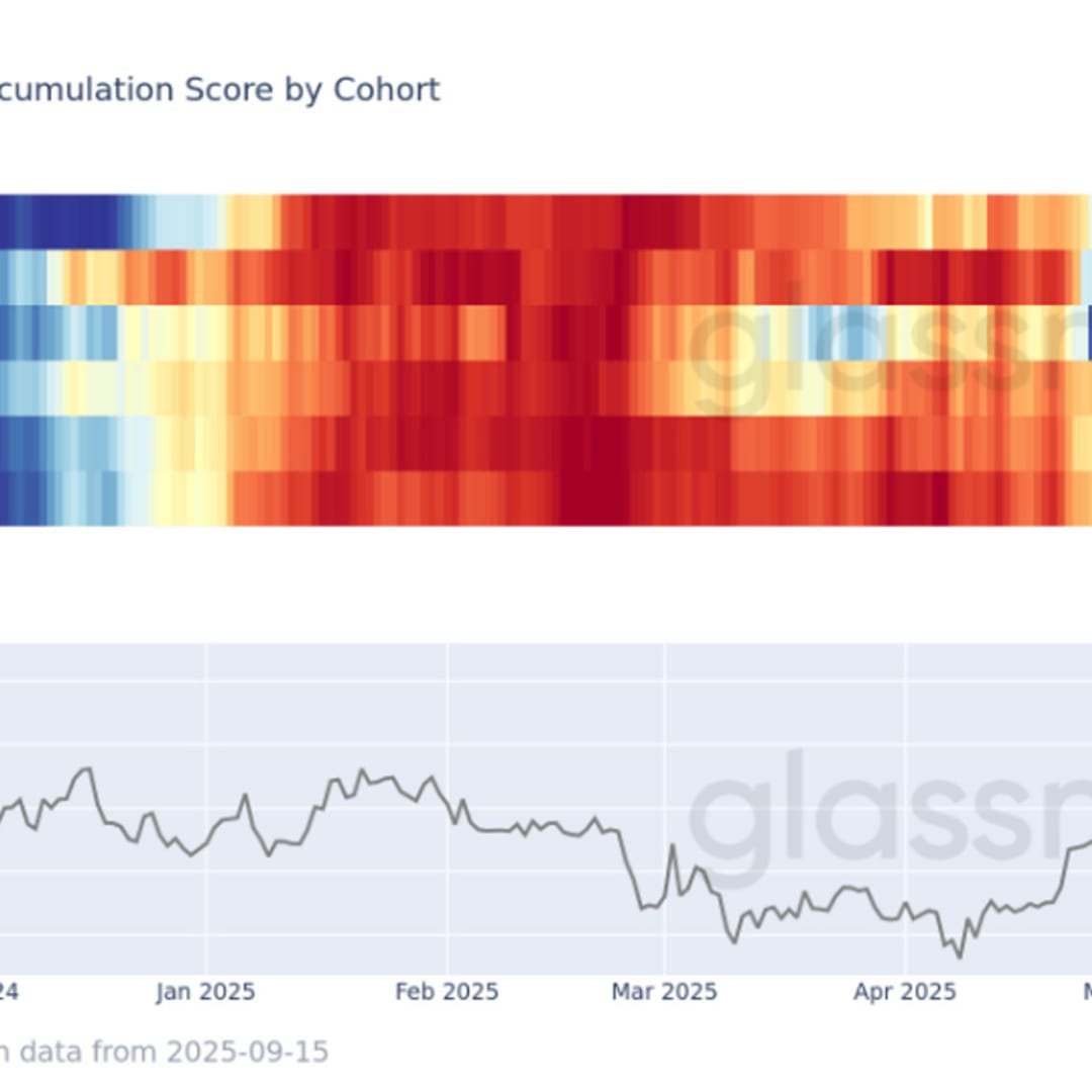 Semua Kelompok Dompet Bitcoin Kembali Jual Setelah Rally, Pasar Konsolidasi