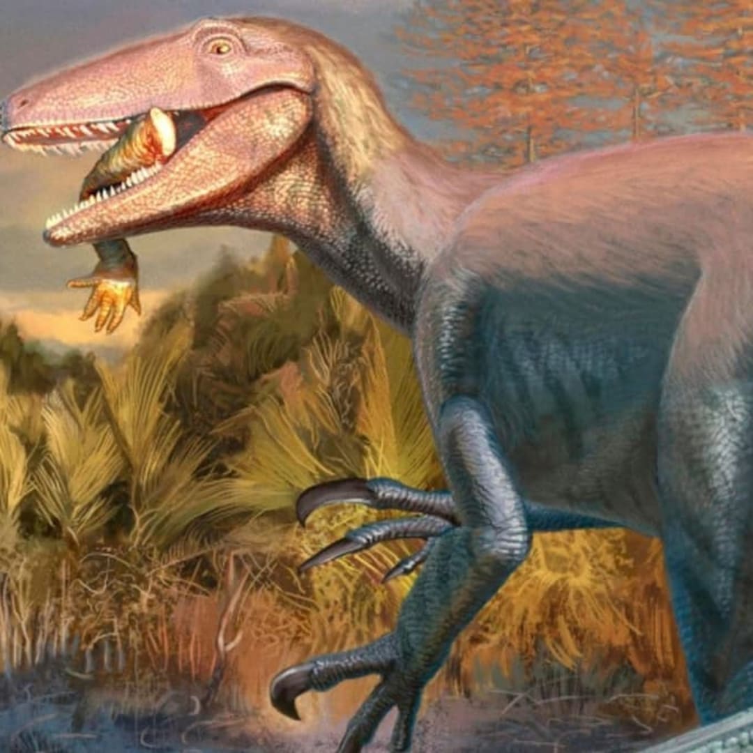 Penemuan Dinosaurus Predator Baru dengan Bukti Makan Buaya di Mulutnya