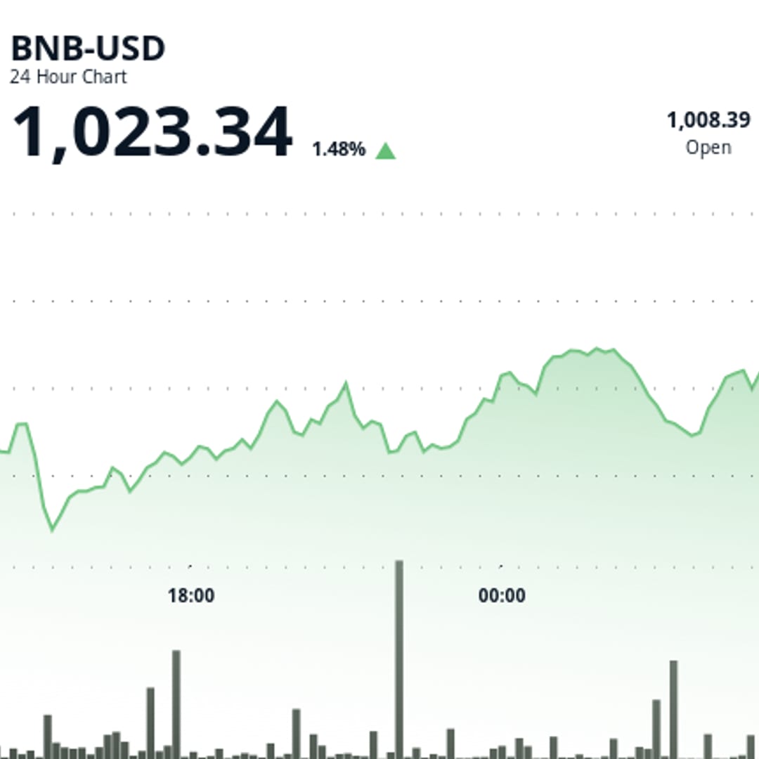 Komunitas BNB Lawan Peretasan dengan Beli Token Palsu dan Pulihkan Kepercayaan
