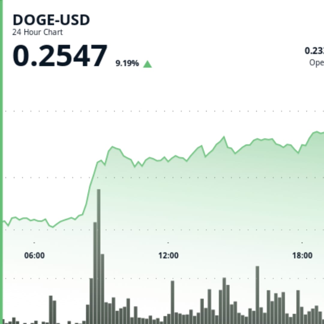 Dogecoin dan Shiba Inu Naik Drastis Didukung Spekulasi ETF dan Akumulasi Institusi
