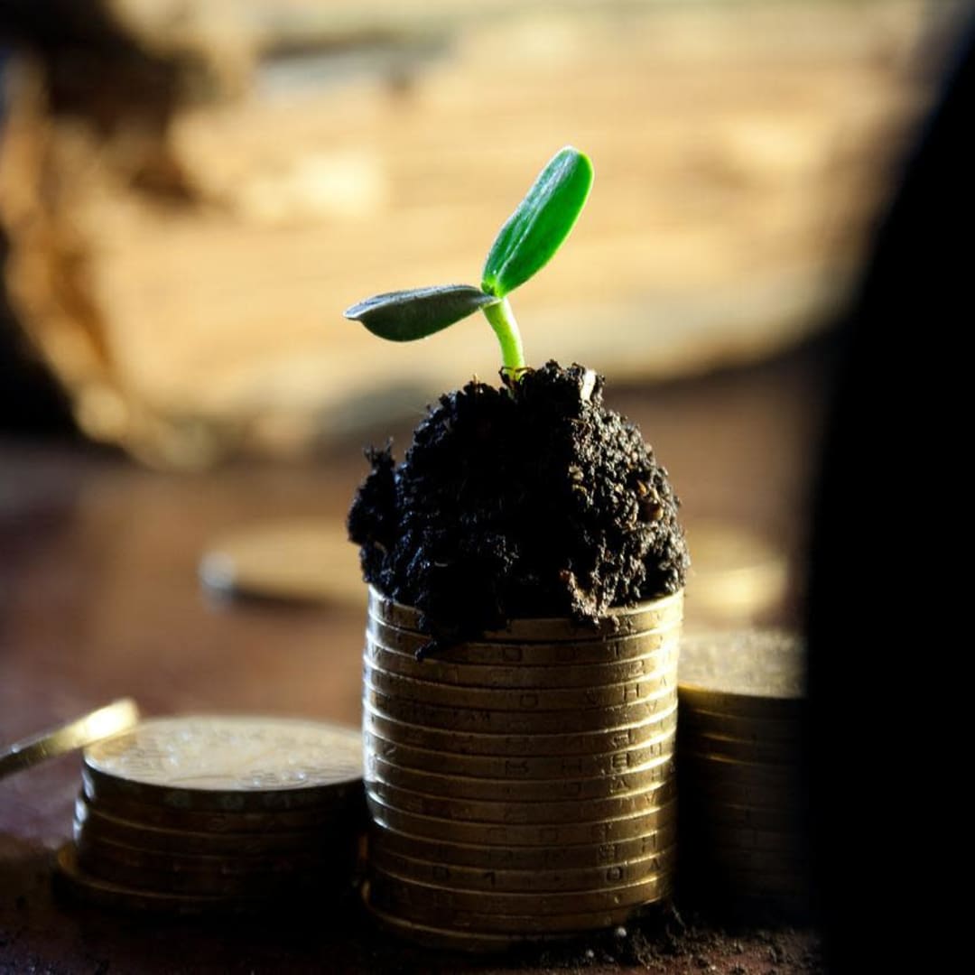 John Wiley & Sons: Saham Dividen Andal dengan Strategi Digital Modern