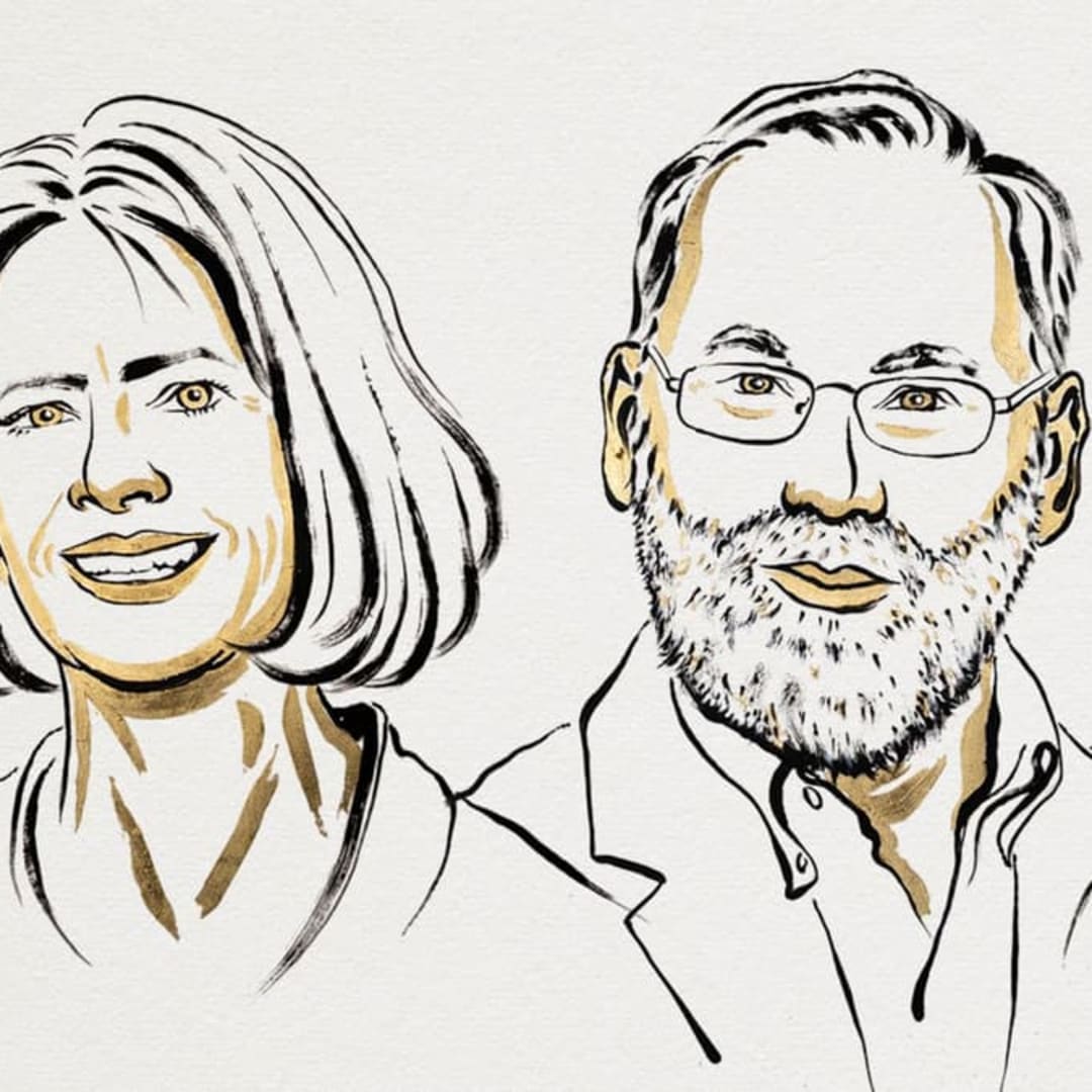 Penemuan Sel T-reguler: Kunci Sistem Imun yang Mencegah Penyakit Autoimun