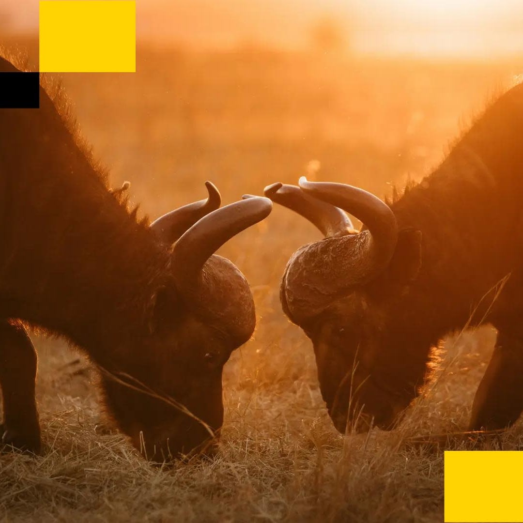 Persaingan Ketat Stablecoin: Tether dan Circle Hadapi Tantangan Baru Pasar 2025