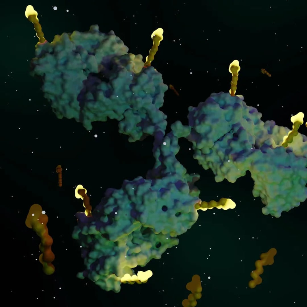 Tubulis Raih Dana Besar untuk Terapi Kanker Inovatif Antibody-Drug Conjugate
