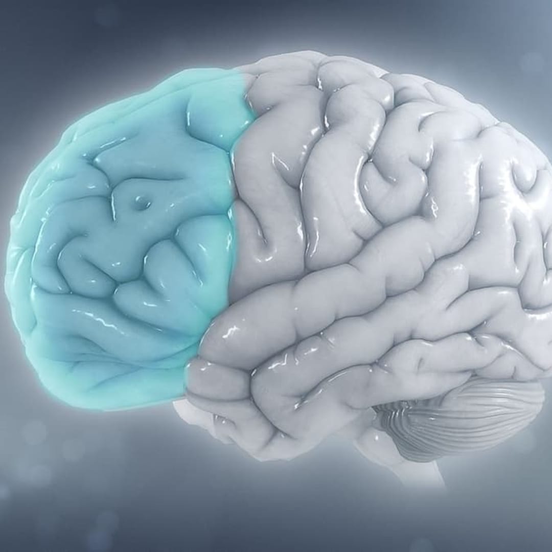 Model Otak 3D MiBrain: Terobosan Baru Studi Penyakit Alzheimer dan Pengobatan Personal