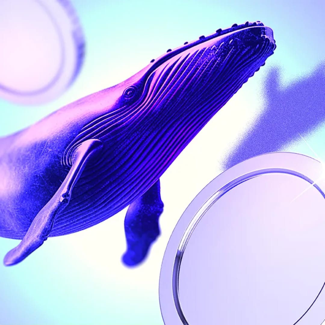 Whales Mulai Borong Altcoin Jelang Pemotongan Suku Bunga Fed Oktober