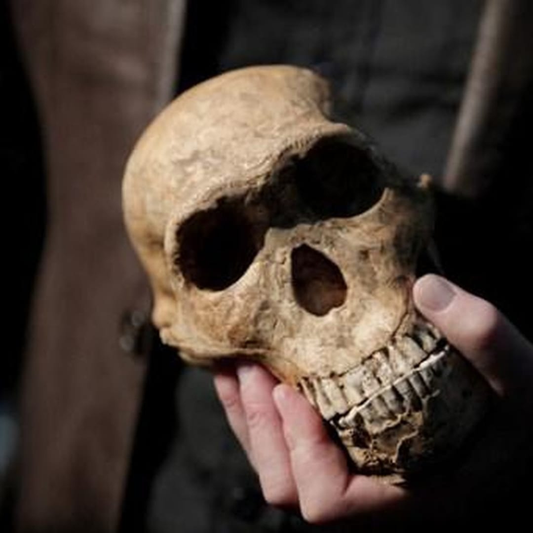 Pegunungan Zagros Jadi Tempat Perkawinan Silang Homo sapiens dan Neanderthal