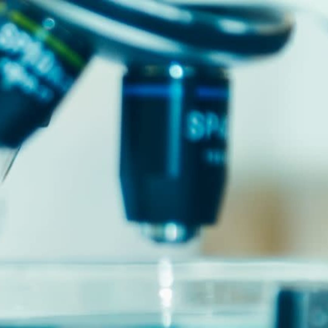 Iovance Biotherapeutics: Peluang Investasi Undervalued atau Risiko Tinggi?