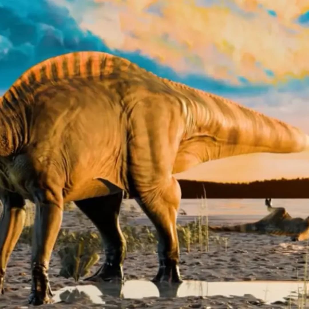 Penemuan Mumi Dinosaurus Bebek Berparuh dengan Kulit dan Kuku Utuh