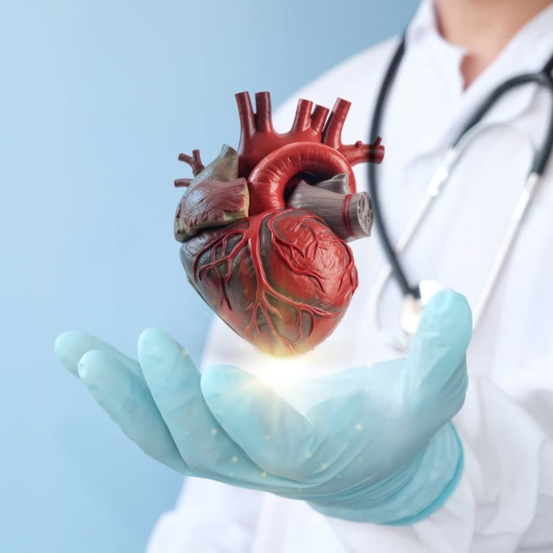FDA Setujui Sistem Pencitraan Intracardiac Compact untuk Prosedur Jantung Canggih