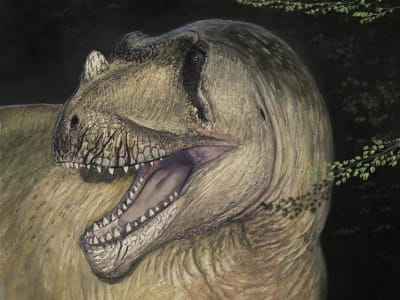 Penemuan Dinosaurus Baru dari Foto Fosil yang Hancur Saat Perang Dunia II