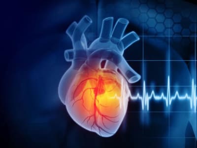 Inovasi AI Ramalkan Risiko Jantung dengan Akurasi Tinggi dari CT Scan