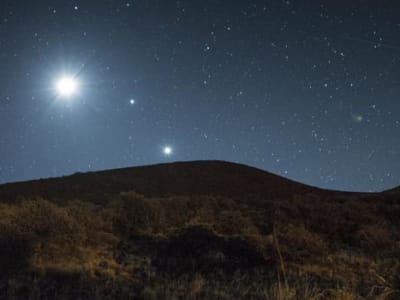 Panduan Mingguan Menikmati Venus, Bulan, dan Bintang Terang di Langit Musim Dingin