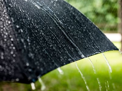 Harga Bitcoin dan Saham Kripto Jatuh Setelah Pengumuman Tarif Baru AS