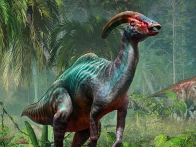 Kolagen Asli Dalam Fosil Dinosaurus: Menyingkap Rahasia Biokimia Prasejarah