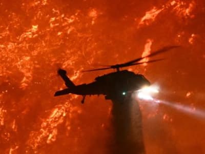 Inovasi AI dan Teknologi untuk Atasi Krisis Kebakaran Hutan yang Meningkat