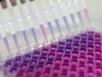 Bain Capital Hampir Akuisisi Unit Farmasi Mitsubishi: Nilai Transaksi Rp478 Triliun