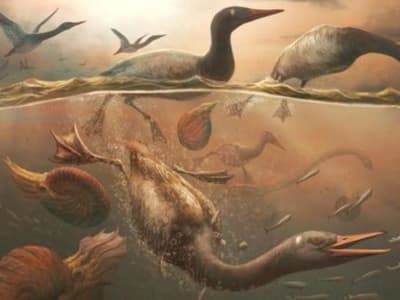 Antarktika: Tempat Perlindungan Burung Modern Tertua Saat Kepunahan Dinosaurus