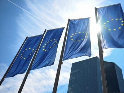 ECB Prediksi Suku Bunga Netral Lebih Rendah, Potensi Pemangkasan Berlanjut