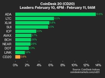 Pergerakan Positif CoinDesk 20: ADA dan LTC Memimpin Kenaikan Pasar Kripto