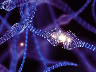 Pentingnya Literasi Ganda untuk Menghadapi Era Kecerdasan Hybrid AI dan Manusia