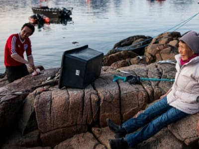 Penelitian Genetik Ungkap Isolasi dan Adaptasi Penduduk Inuit Greenland