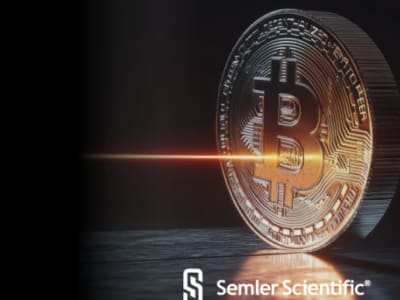 Eric Semler Sarankan Zoom Investasi Bitcoin untuk Hidupkan Kembali Saham