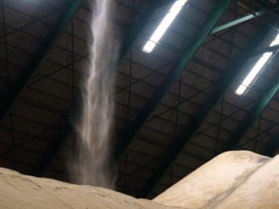 Perubahan Aturan Bursa New York Untuk Lindungi Pembeli Gula Dari Keterlambatan