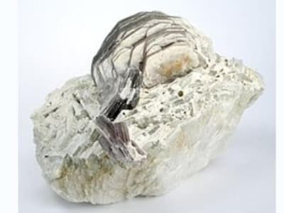 Material Rubidium Baru Tingkatkan Teknologi Sel Bahan Bakar Jadi Lebih Murah dan Efisien