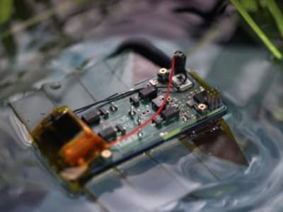 Robot Bawah Air Mini Cepat dan Senyap Terinspirasi Flatworm untuk Ekologi