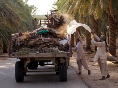 Olam Jual Saham Mayoritas Olam Agri ke Investor Saudi, Nilai Rp57 Triliun