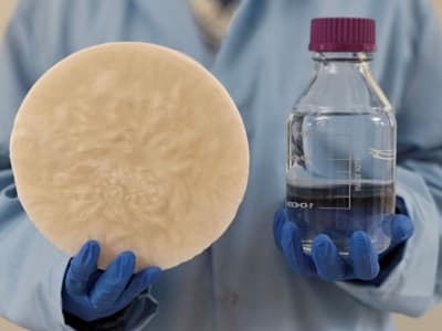Teknologi Baru Mengubah Biomassa Jadi Air Minum Bersih dari Udara