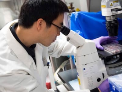 Krisis Dana NIH di Masa Trump Mengancam Penelitian Biomedis Global
