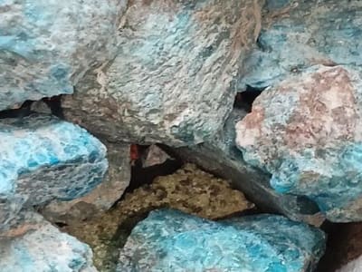 Stanford Ciptakan Batu Penghisap Karbon Cepat untuk Pertanian dan Lingkungan