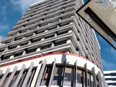 Cari Gubernur Baru: Tantangan Besar di Reserve Bank Selandia Baru Tahun Ini