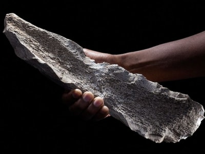 Penemuan Alat Tulang 1,5 Juta Tahun Ungkap Kecanggihan Homo erectus