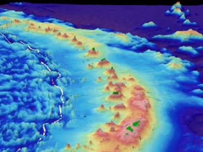 Ekspedisi Palung Mariana Ungkap Kehidupan Menakjubkan di Laut Dalam