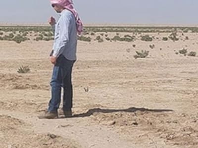 Penemuan Jaringan Kanal Irigasi Kuno di Eridu Ungkap Pertanian Mesopotamia