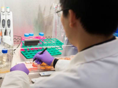 Pemotongan Dana NIH Bisa Hancurkan Riset Medis dan Inovasi di AS