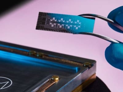Inovasi Squeezing Cat Qubits, Tingkatkan Stabilitas Komputer Kuantum 160x