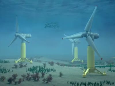 Proyek Energi Pasang Surut NH1 Dapat Dana Besar Dorong Transisi Energi Perancis