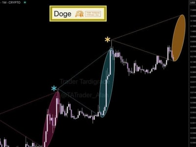 Penjualan Besar Penambang Tekan Harga Dogecoin, Apakah Rp 16.45 miliar ($1 M) asih Mungkin?