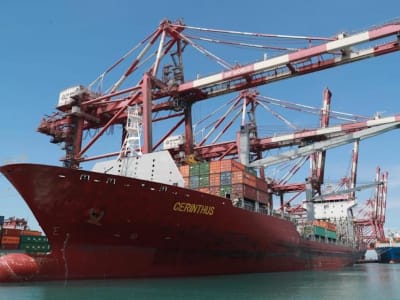 Pendapatan Rekor DP World Naik, Tapi Laba Bersih Turun Karena Biaya Tinggi