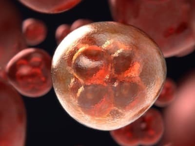 Strategi Virus Baru Mengelabui Tubuh untuk Serang Kanker dengan Sukses