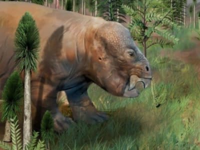 Riset Ungkap Gurun Tiongkok Jadi Oase Tumbuhan Saat Kepunahan Massal 252 Juta Tahun Lalu