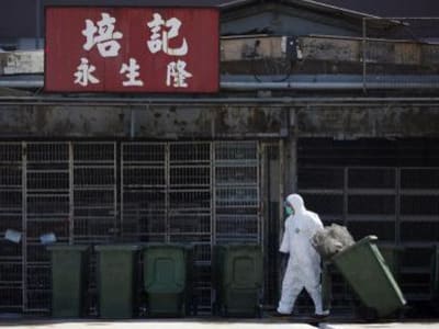 Wabah Flu Burung H7N9 Pertama di AS Ganggu Produksi dan Ekspor Unggas