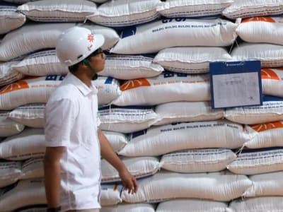 Bulog Jelaskan Penanganan Beras Impor Berkutu di Gudang Penyimpanan