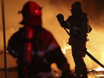 Kebakaran Hutan Besar di Korea Selatan: Dampak dan Upaya Penanggulangan